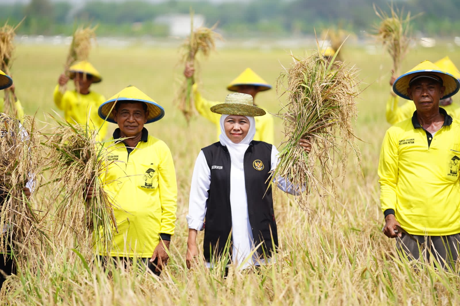 Jatim Provinsi Penghasil Beras Tertinggi di Indonesia Tahun 2024, Khofifah Pastikan Siap Dukung Swasembada Pangan Nasional