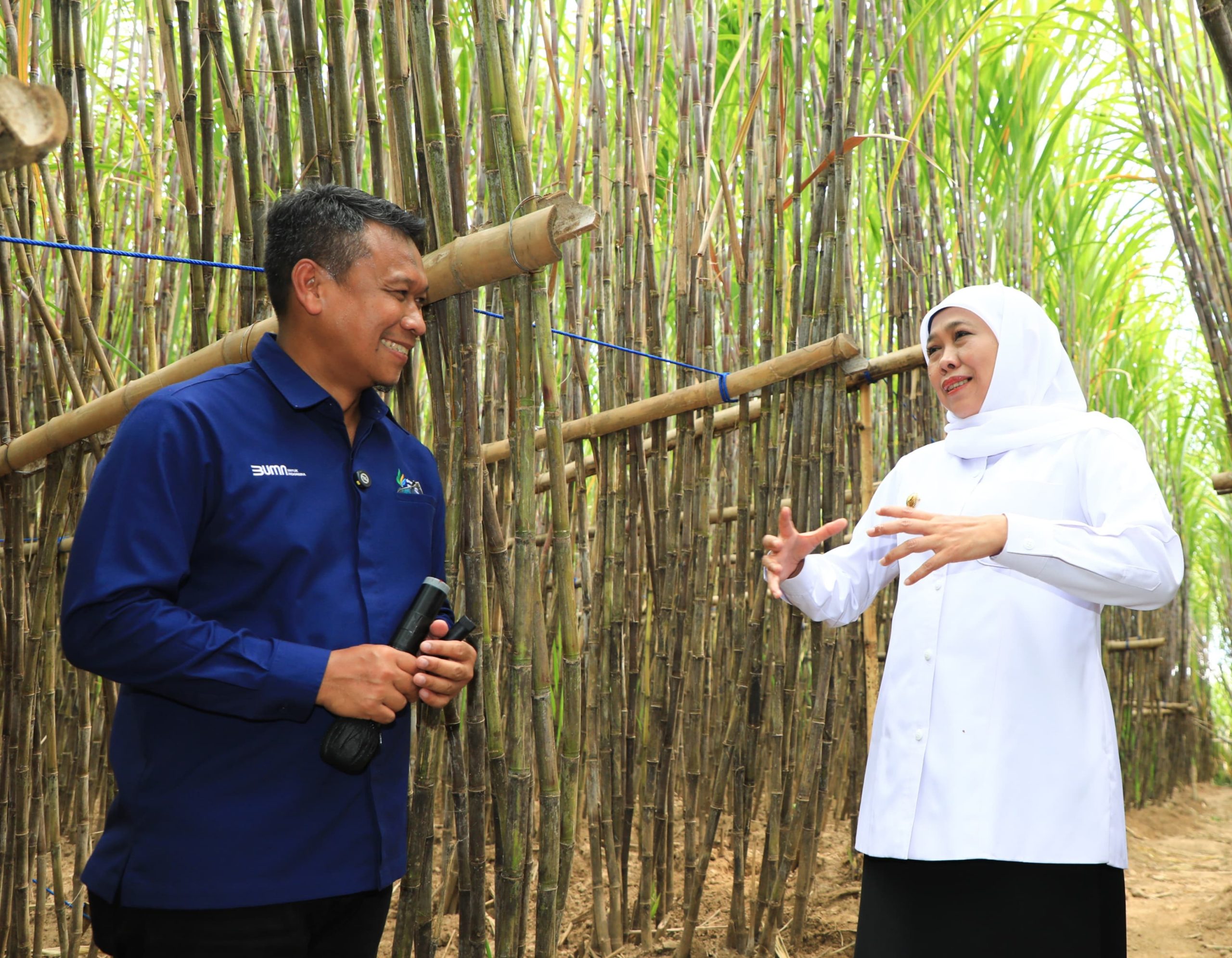 Gubernur Khofifah Luncurkan KUR Khusus Petani Tebu Jatim, Optimis Wujudkan  Percepatan Swasembada Gula Nasional