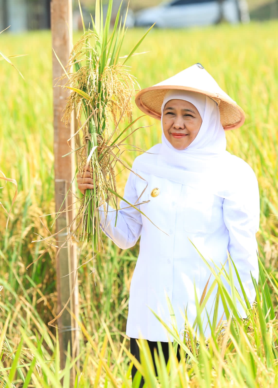 Hari Krida Pertanian 2025, Gubernur Khofifah: Petani Jatim Harus Inovatif, Tingkatkan Produktivitas Hadapi Tantangan Global