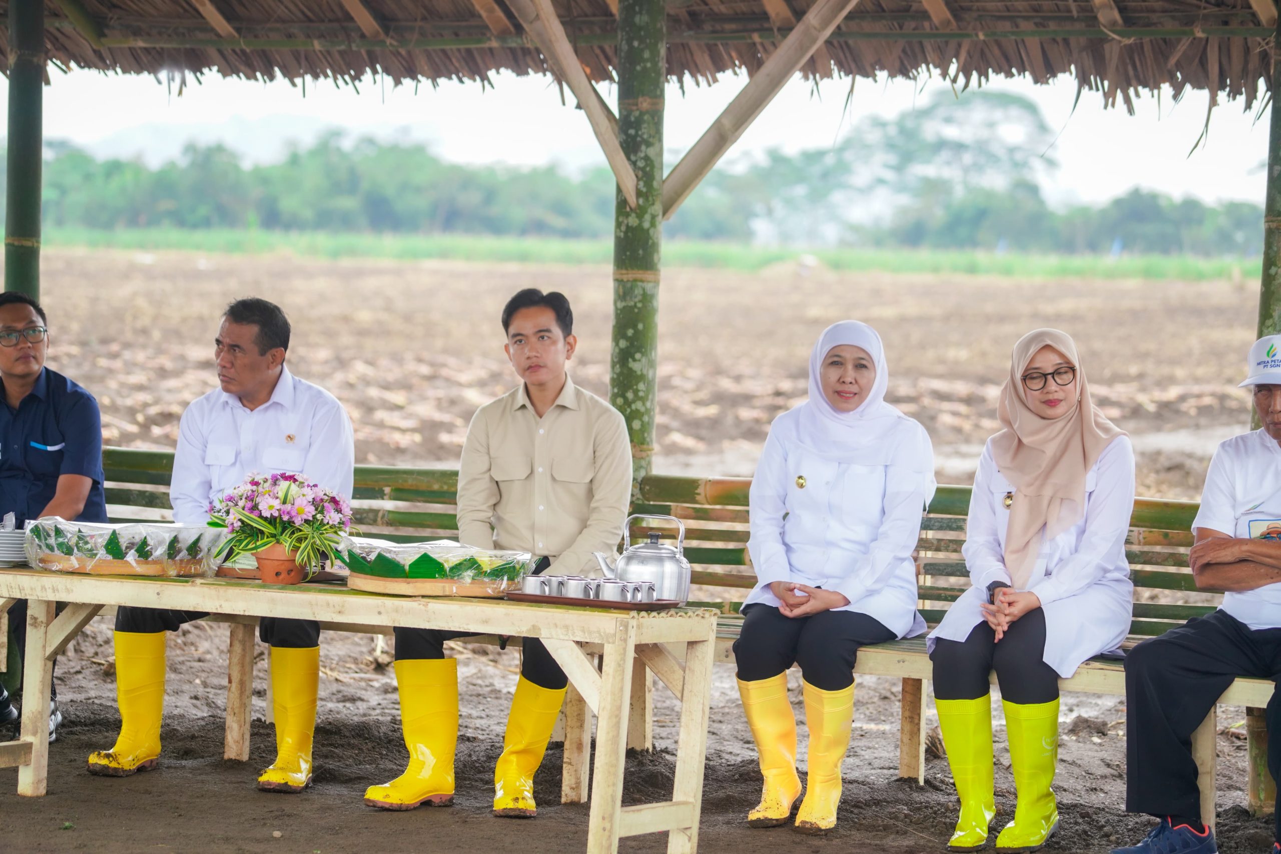 Gubernur Khofifah Dampingi Wapres Gibran Tanam dan Panen Tebu di Banyuwangi: Jatim Kontribusi 51,87 Persen Gula Nasional.  Siap Wujudkan  Swasembada Gula Nasional