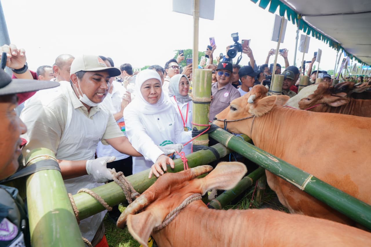 Dengan 1,09 Juta Inseminasi Buatan, Gubernur Khofifah Kukuhkan Jatim sebagai Provinsi Berpopulasi Sapi Tertinggi dan Motor Ketahanan Pangan Nasional