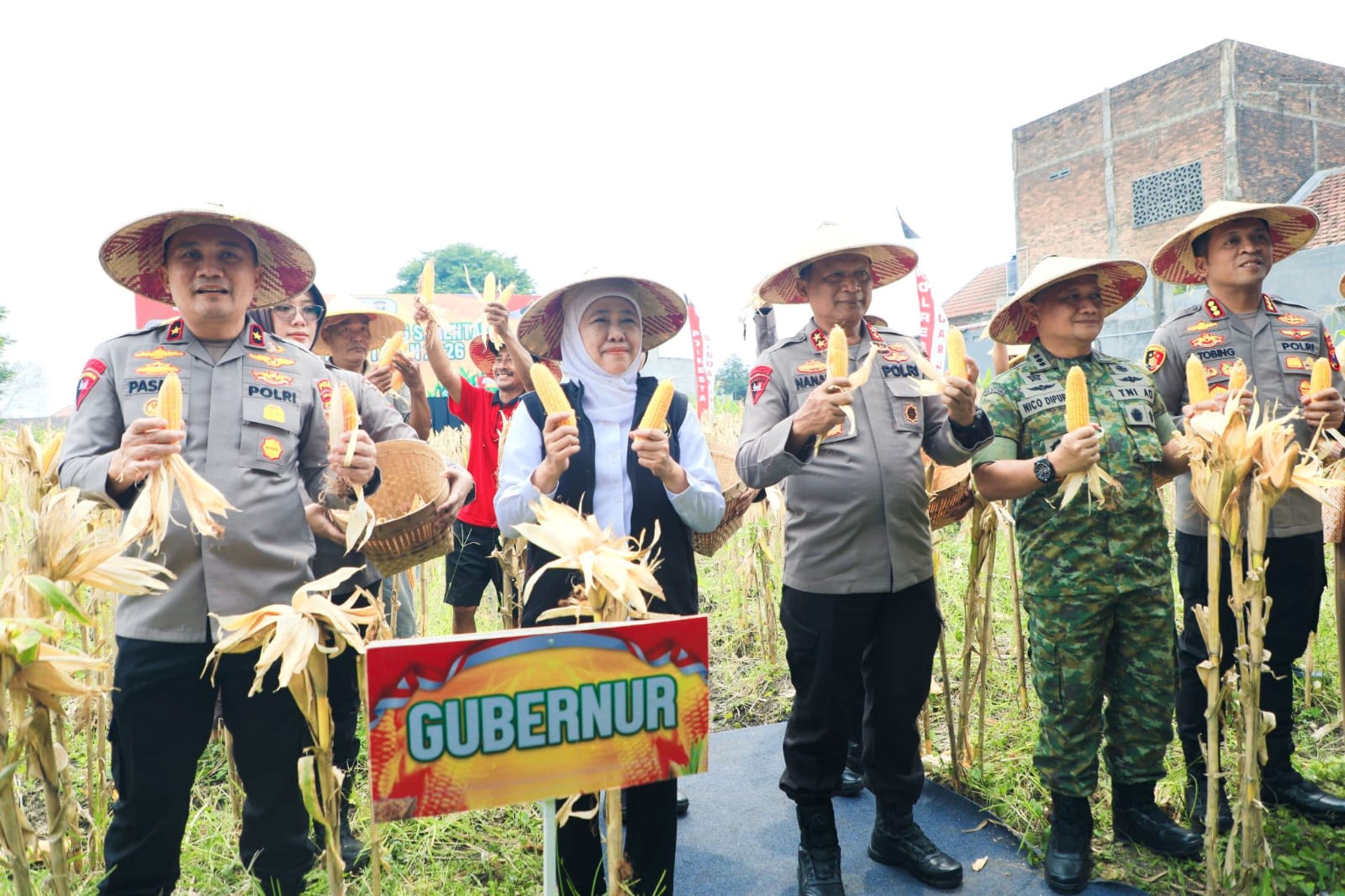 Gubernur Khofifah dan Kapolda Jatim Panen Raya Jagung Serentak di Sidoarjo, Dorong Hilirisasi Pakan Ternak untuk Indonesia Makmur 2026