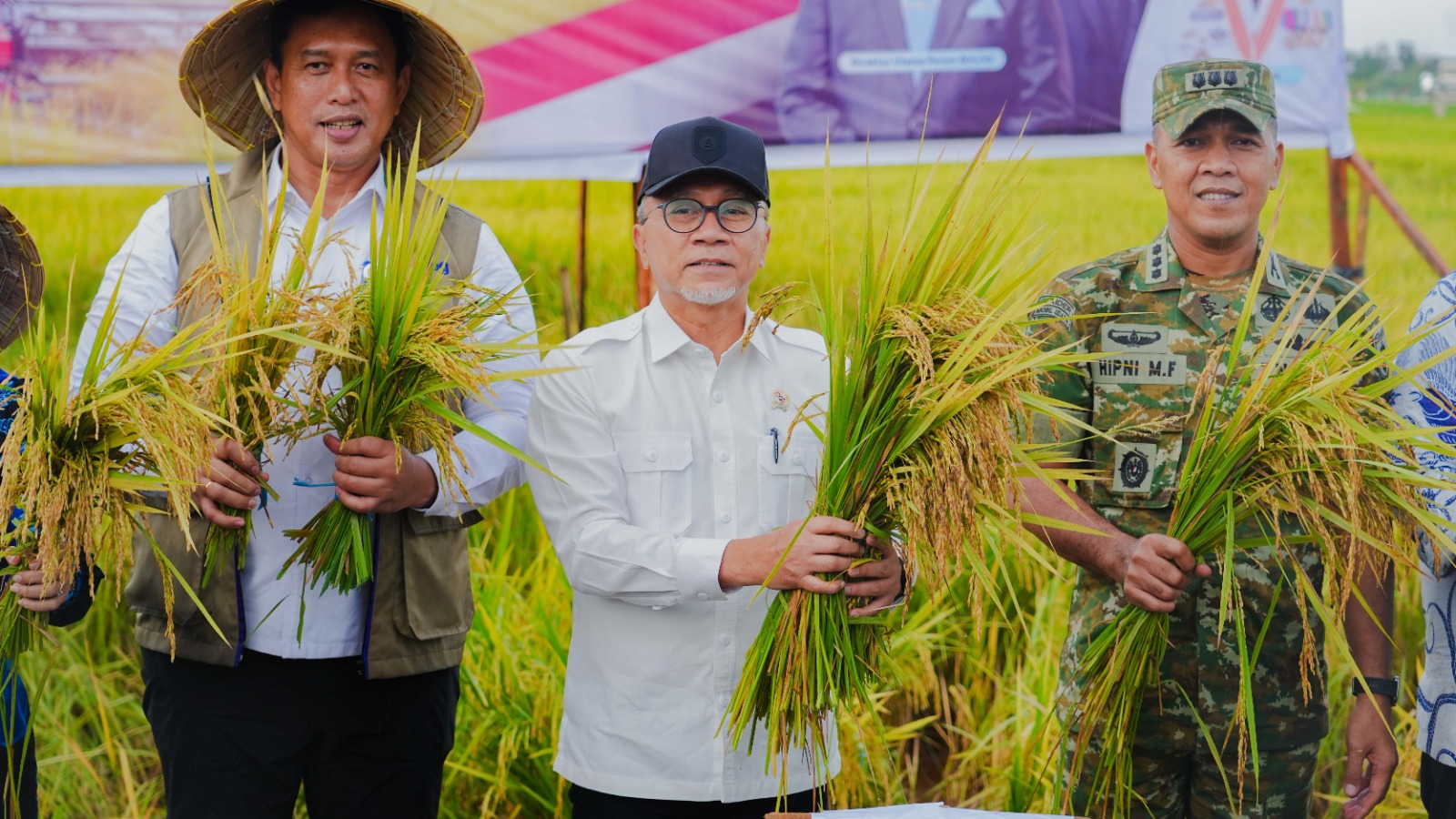 Program Penyerapan Gabah Dukung Kesejahteraan Petani Maros