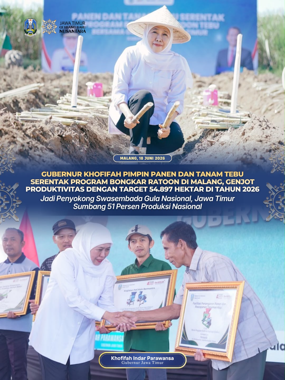 Gubernur Khofifah Genjot Produktivitas Tebu Lewat Program Bongkar Ratoon 54.897 Hektar, Jatim Tetap Jadi Penyumbang Utama Gula Nasional