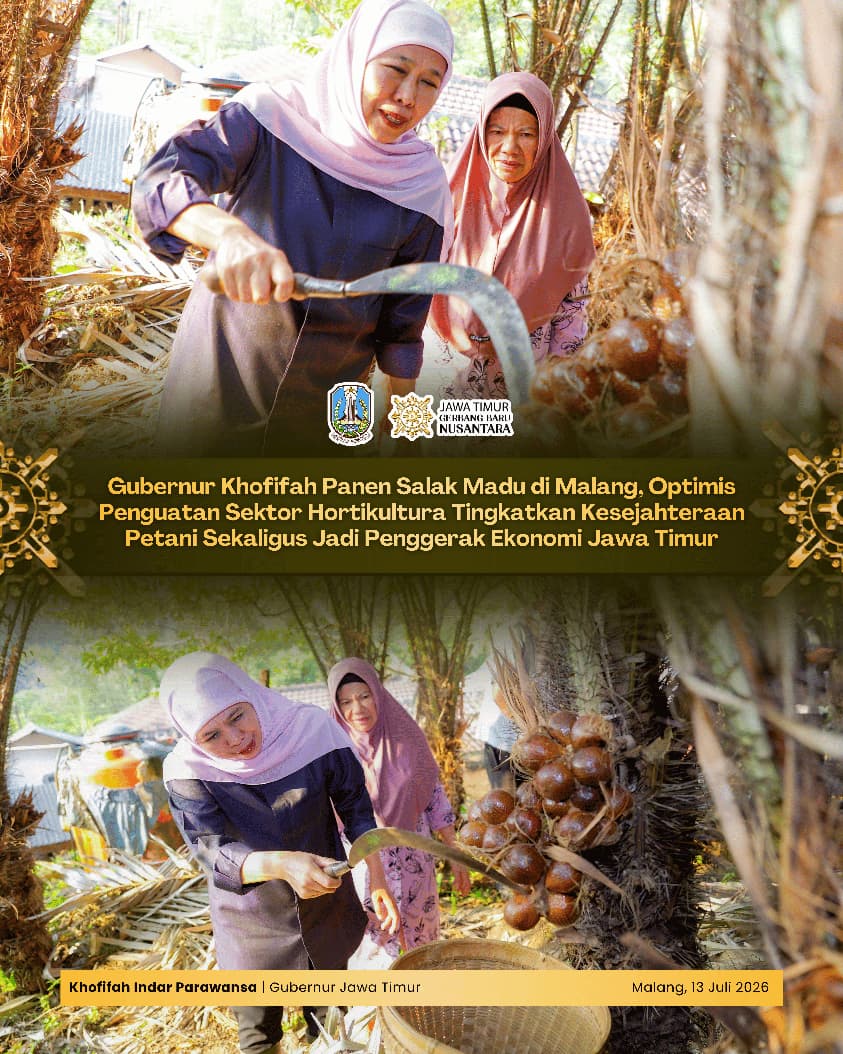 Gubernur Khofifah Ajak Perkuat Sinergi Pemerintah, Petani, dan Pelaku Usaha untuk Kembangkan Komoditas Hortikultura Lokal